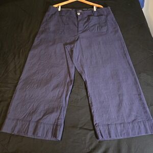 6Anthropologie Pants Womens 24W Blue Wide Leg Cropped Linen Blend Plus Casual